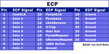 ECP